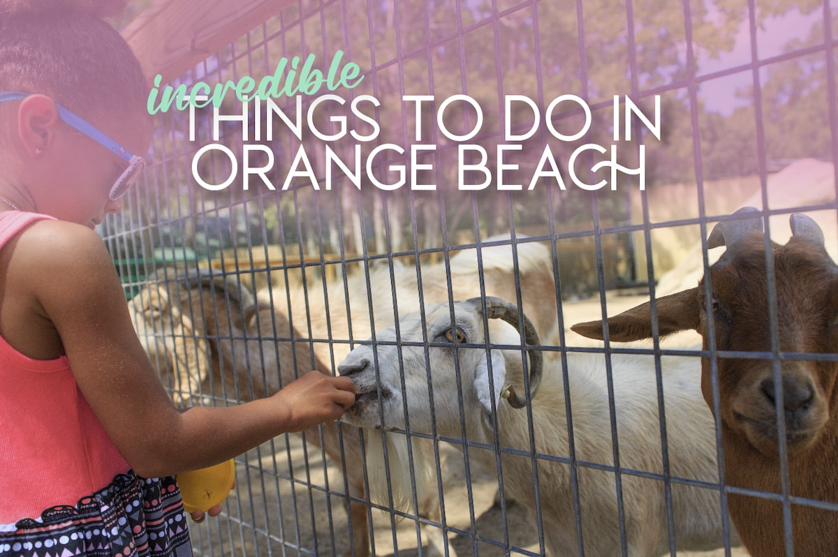 Things to do in Orange Beach:  Exploring Alabama’s Coastal Jewel