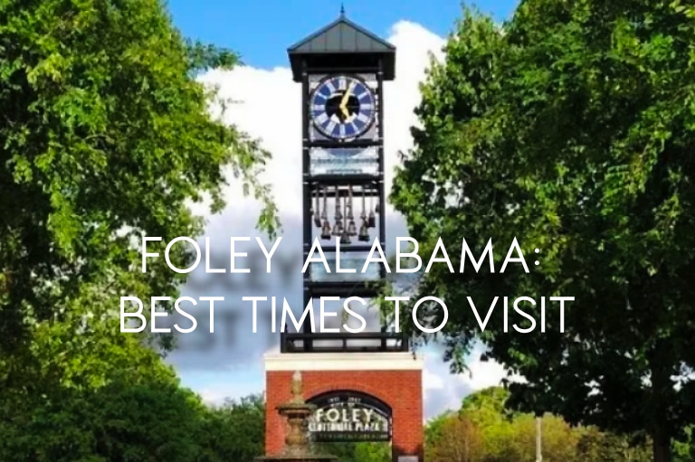 Planning Your Visit: The Best Times to Explore Foley