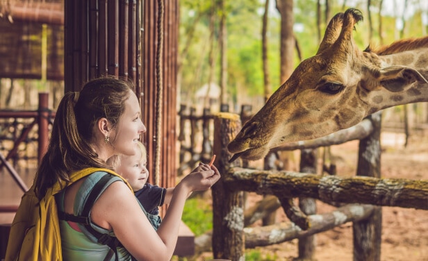 Alabama Gulf Coast Zoo 