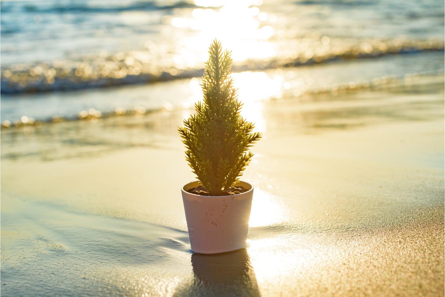 Sand Christmas in Alabama’s Gulf Shores