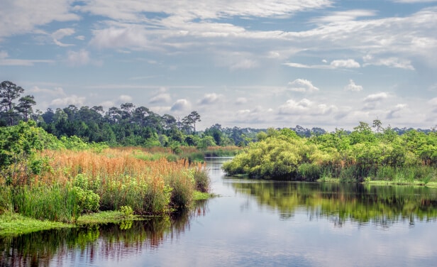 Gulf State Park