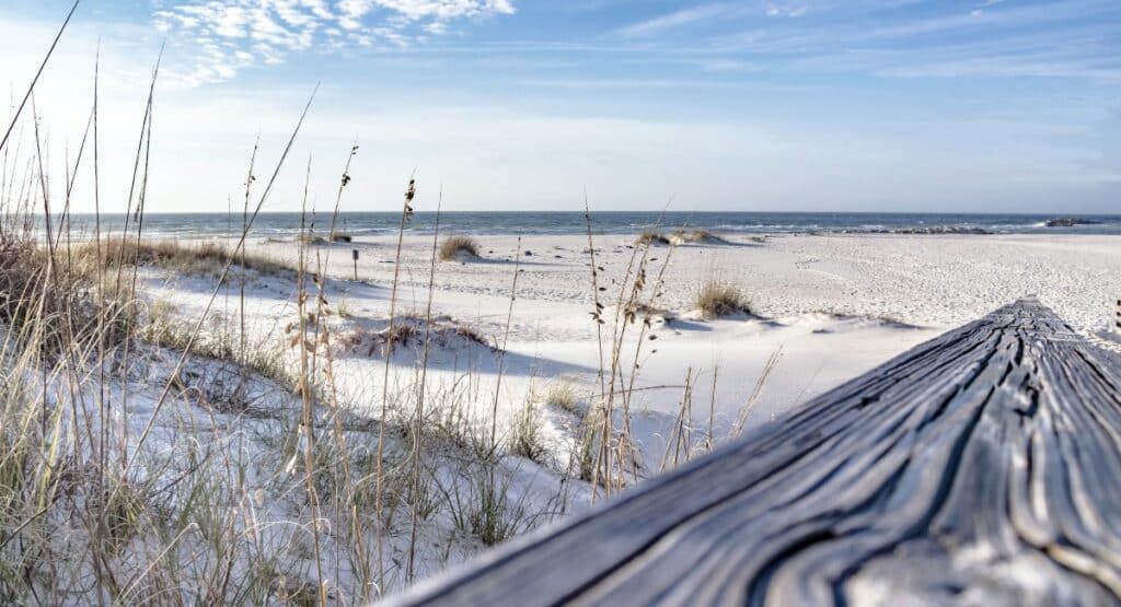 Surrounding areas at the beaches on gulf shores